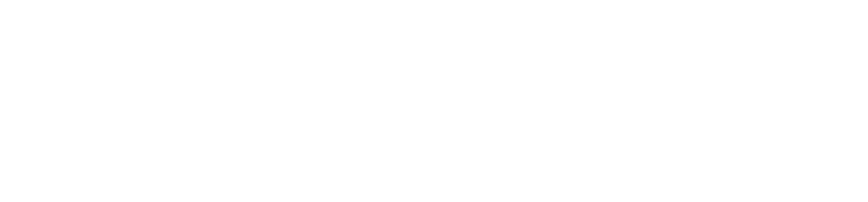 Begleiter